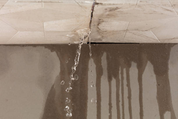 Professional Water Damage Inspection technician working in Gig Harbor, WA